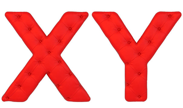 豪華紅皮革字體×Y字母