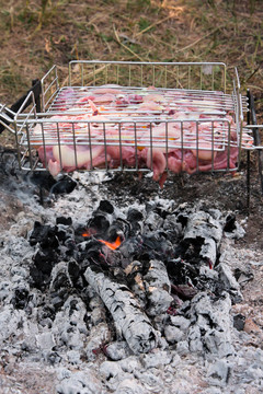 烤雞肉燒烤