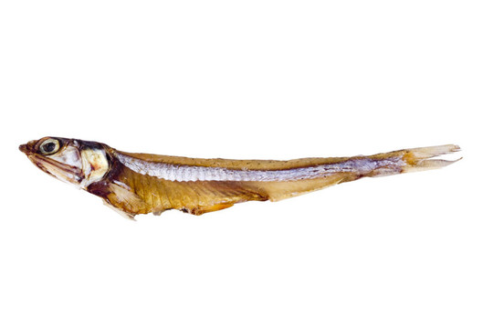 干魚(yú)