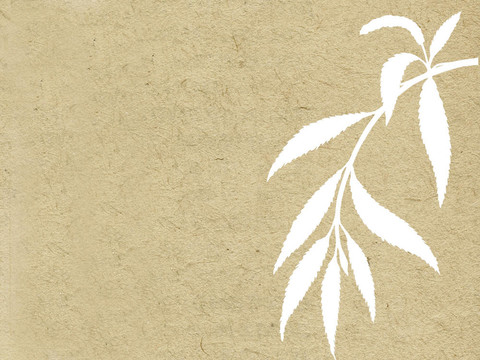 枝柳條上垃圾背景