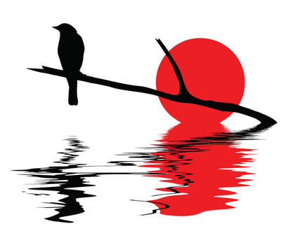 白色背景下鳥類的剪影