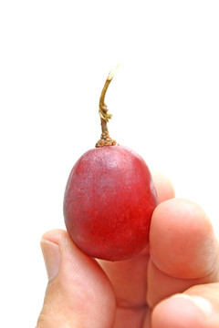 紅葡萄