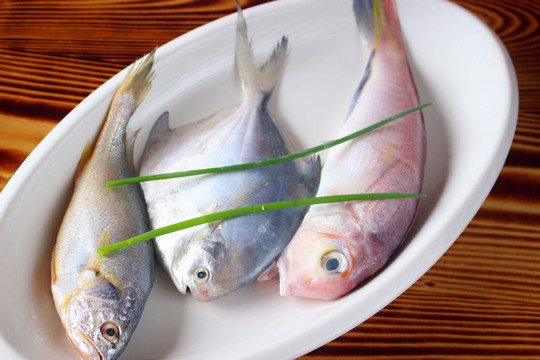無污染雜魚
