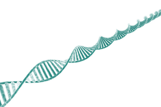DNA鏈