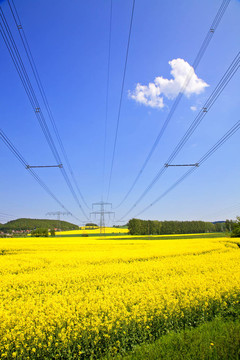 電源線