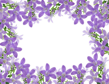 花框