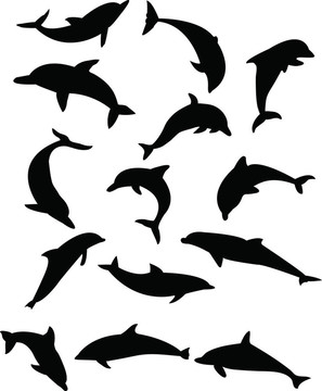 海豚