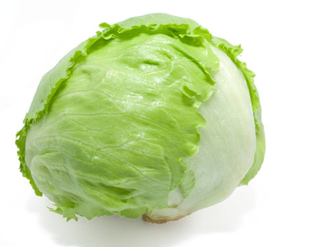 白色背景上的小白菜