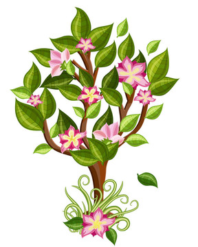 有光澤葉的花樹(shù)