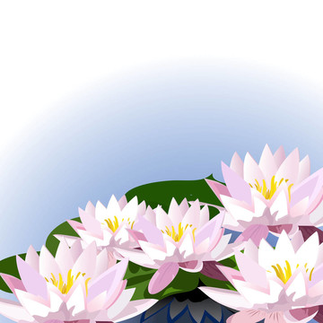 裝飾在水上的百合花