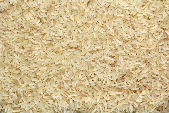 Rice顆粒