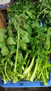 青菜