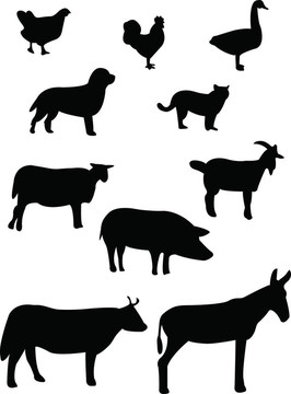 農(nóng)場(chǎng)動(dòng)物的輪廓