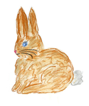 兔子布朗的插圖
