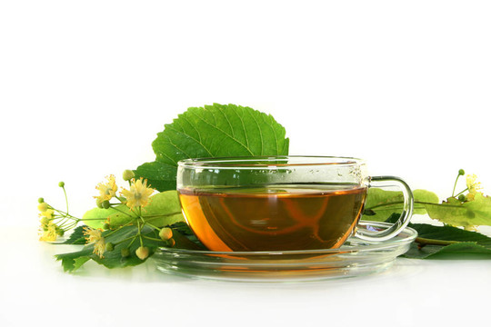 椴花茶
