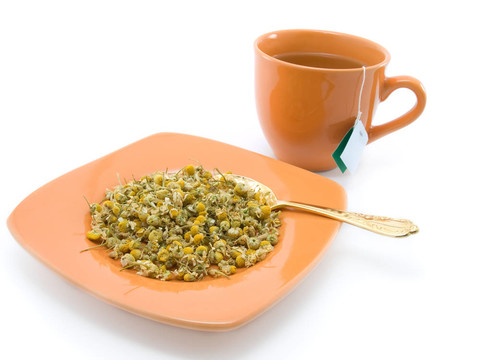 在白色背景的涼茶和洋甘菊