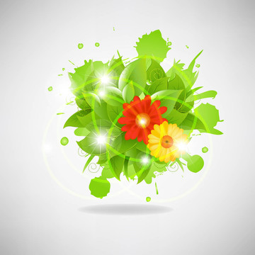 摘要花