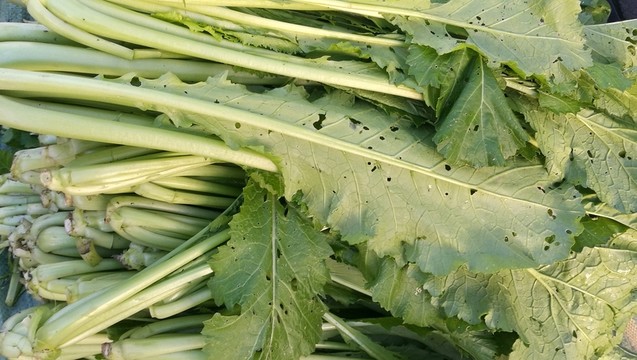 青菜