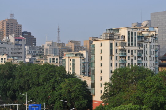 城市