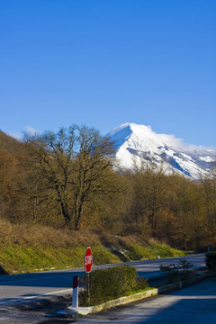冬季森林山之路