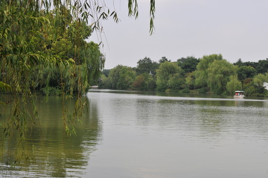 園林景觀