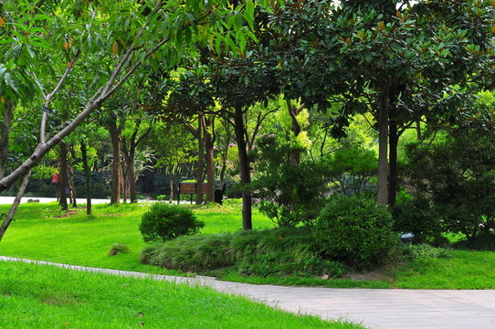 園林景觀