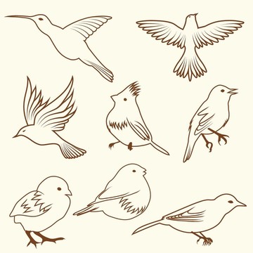 設(shè)置不同的草圖的鳥(niǎo)
