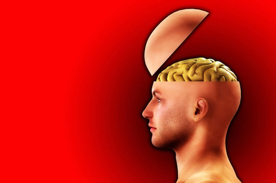 簡(jiǎn)介Open Minded Head