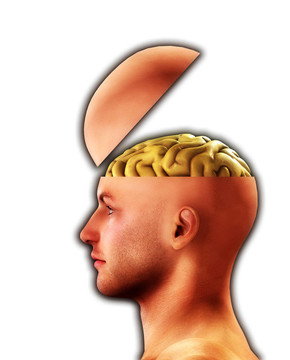 簡(jiǎn)介Open Minded Head