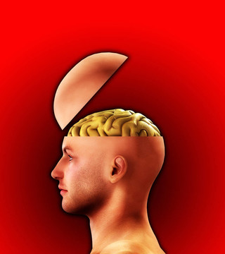 簡介Open Minded Head