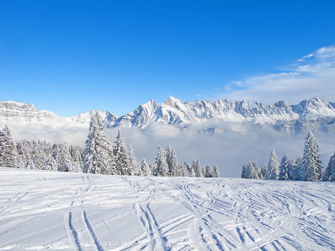 滑雪坡