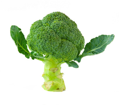 西蘭花中分離