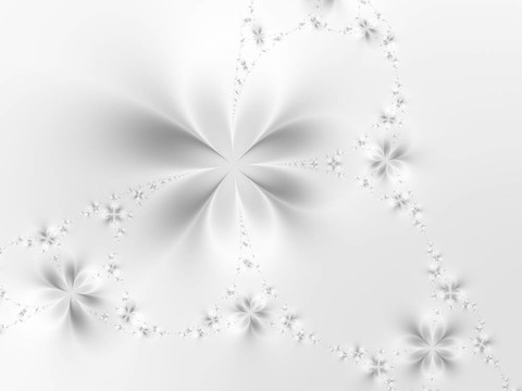 摘要花