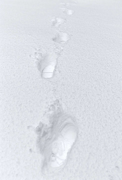雪中的腳印