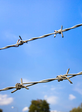 barbwires