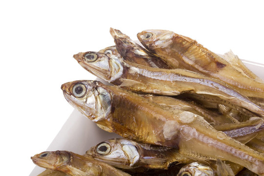 干魚