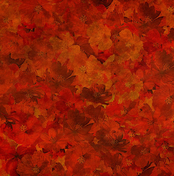 香辣紅花背景