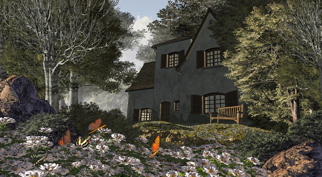 白色的花和小屋