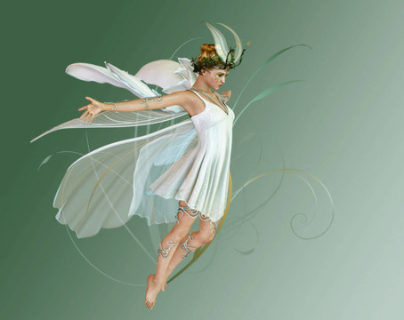 蘭花FAE