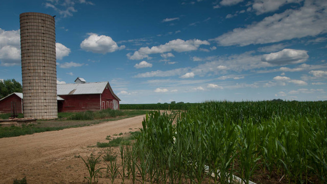 麥田和Barn