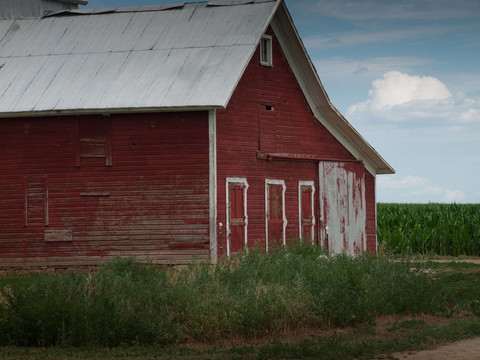 麥田和Barn