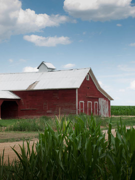 麥田和Barn