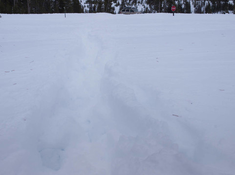 雪地里的痕跡