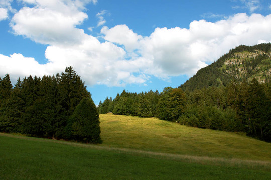 高山美