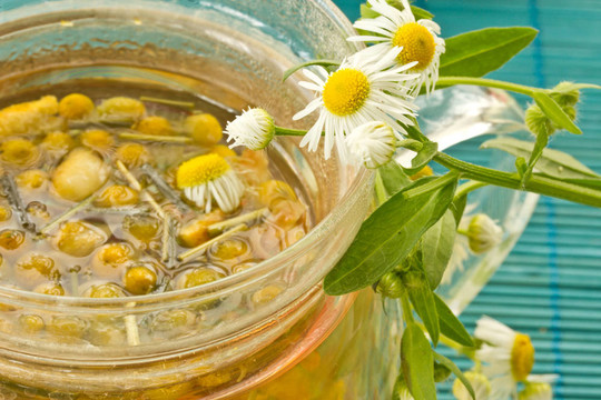 甘菊茶