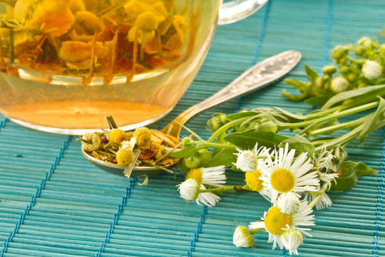 甘菊茶