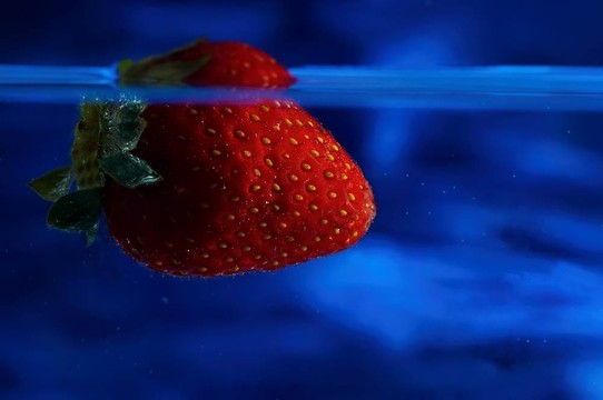 Strawberry在藍