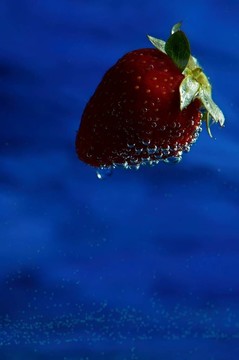 Strawberry在藍