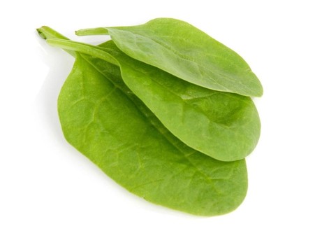 菠菜葉