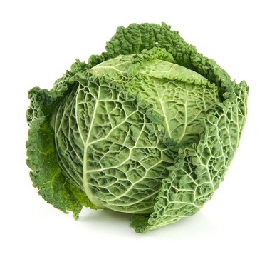 皺葉甘藍